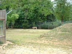 149 BIO PARC DE DOUE LA FONTAINE 3- 2016_000017